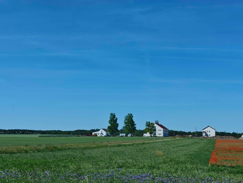 Green fields and farm buildings near Várbalog under a blue May sky.