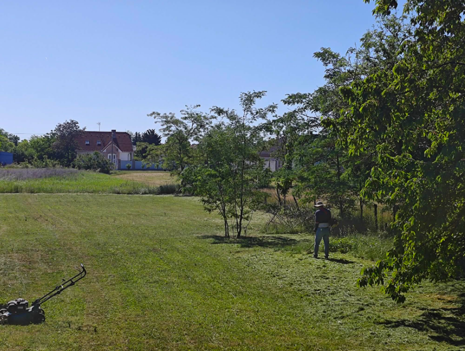 A large garden in Várbalog being cleared with a brush cutter and lawn mower.